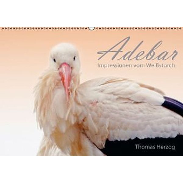 ADEBAR (Wandkalender 2016 DIN A2 quer), Thomas Herzog