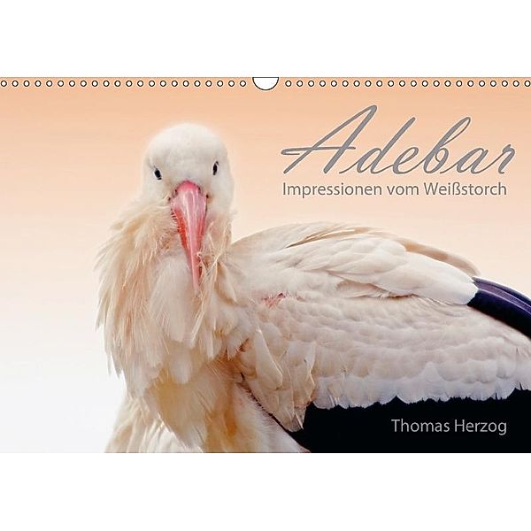 ADEBAR (Wandkalender 2017 DIN A3 quer), Thomas Herzog