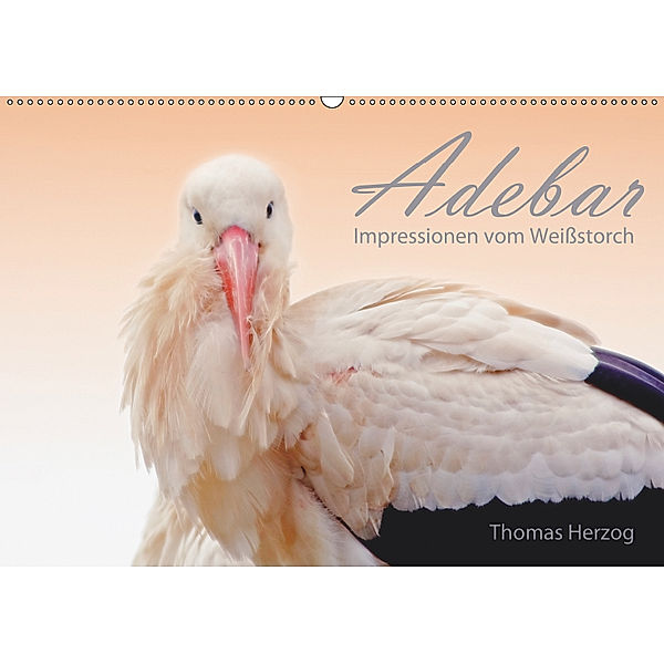 ADEBAR (Wandkalender 2019 DIN A2 quer), Thomas Herzog