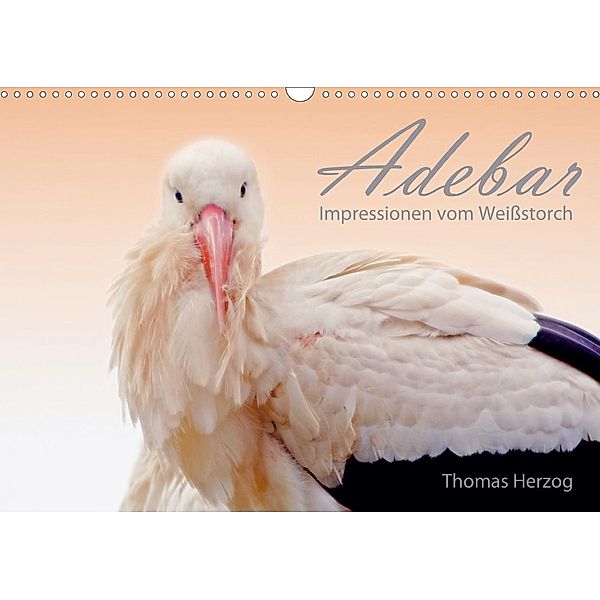 ADEBAR (Wandkalender 2021 DIN A3 quer), Thomas Herzog, www.bild-erzaehler.com