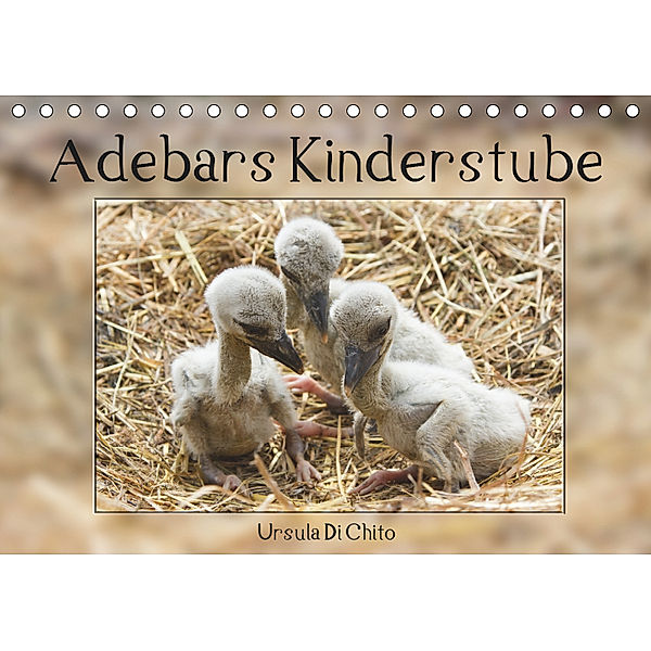 Adebars Kinderstube (Tischkalender 2019 DIN A5 quer), Ursula Di Chito