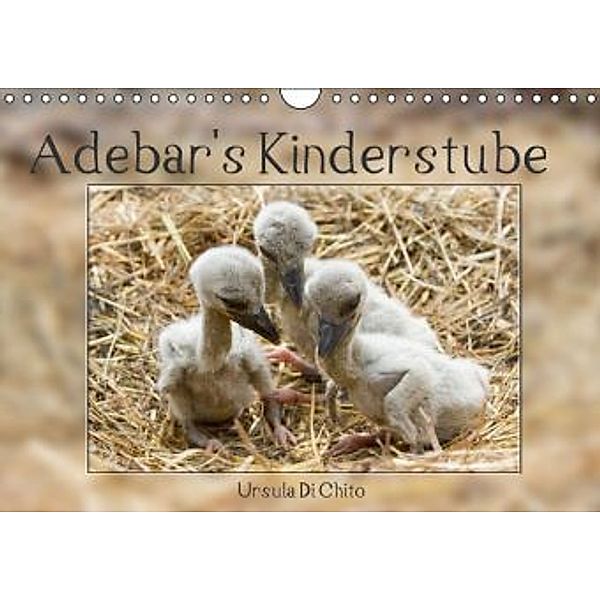 Adebar's Kinderstube (Wandkalender 2015 DIN A4 quer), Ursula Di Chito