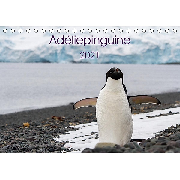 Adéliepinguine (Tischkalender 2021 DIN A5 quer), Anna-Barbara Utelli