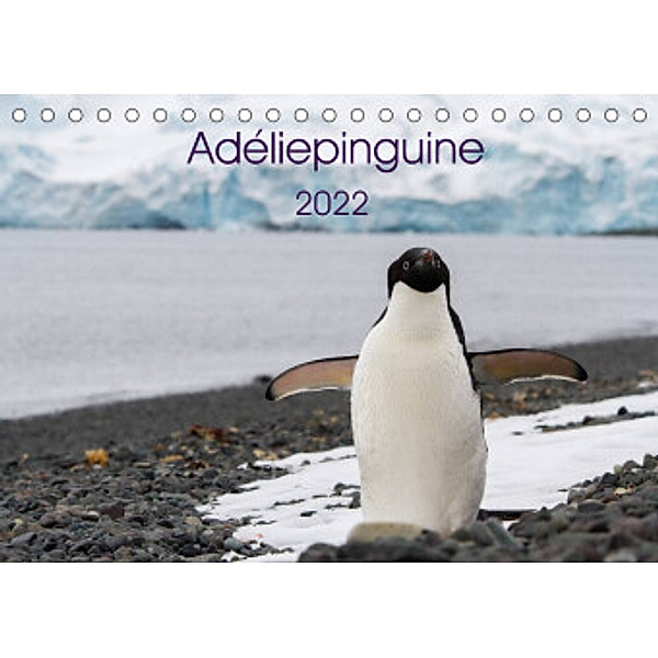 Adéliepinguine (Tischkalender 2022 DIN A5 quer), Anna-Barbara Utelli