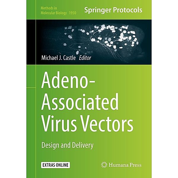 Adeno-Associated Virus Vectors / Methods in Molecular Biology Bd.1950