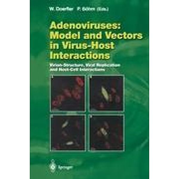 Adenoviruses: Model and Vectors in Virus-Host Interactions