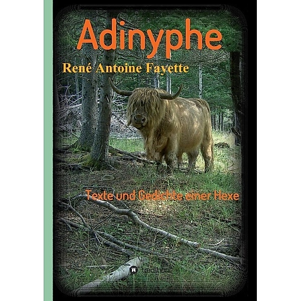 Adinyphe, René Antoine Fayette