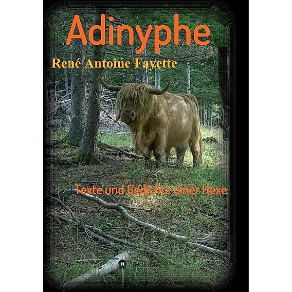 Adinyphe, René Antoine Fayette