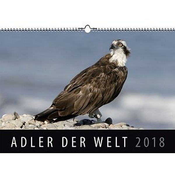 Adler der Welt 2018