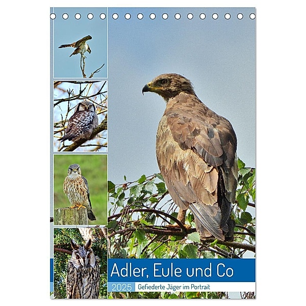 Adler, Eule und Co - Gefiederte Jäger im Portrait (Tischkalender 2025 DIN A5 hoch), CALVENDO Monatskalender, Calvendo, René Schaack