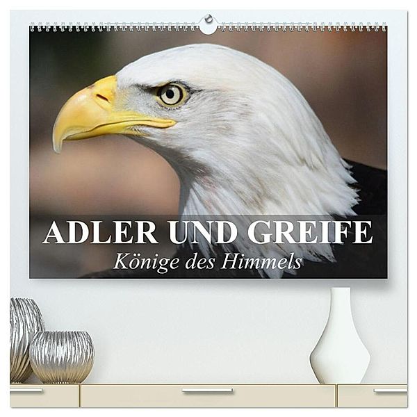 Adler und Greife - Könige des Himmels (hochwertiger Premium Wandkalender 2024 DIN A2 quer), Kunstdruck in Hochglanz, Elisabeth Stanzer