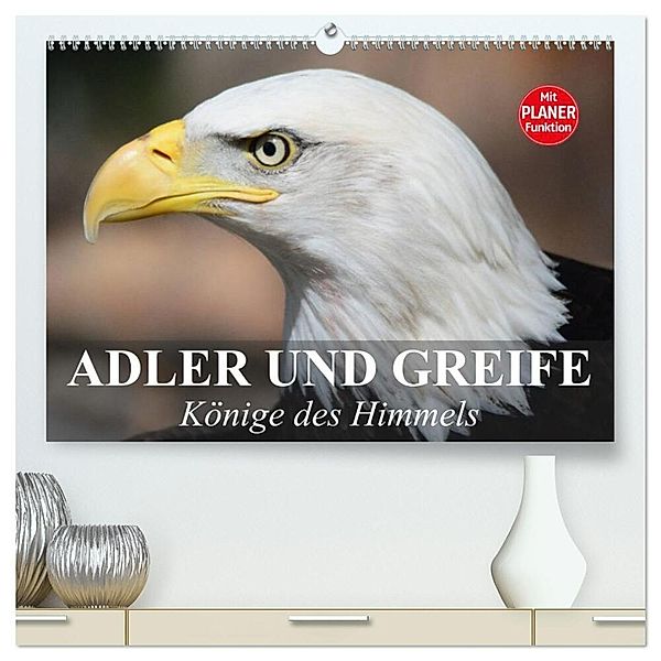 Adler und Greife. Könige des Himmels (hochwertiger Premium Wandkalender 2025 DIN A2 quer), Kunstdruck in Hochglanz, Calvendo, Elisabeth Stanzer