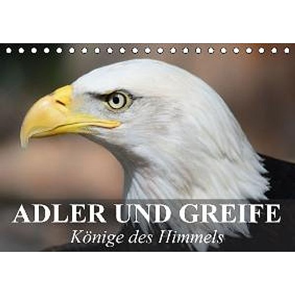 Adler und Greife - Könige des Himmels (Tischkalender 2015 DIN A5 quer), Elisabeth Stanzer