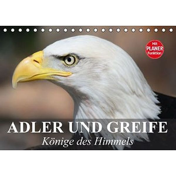 Adler und Greife. Könige des Himmels (Tischkalender 2016 DIN A5 quer), Elisabeth Stanzer