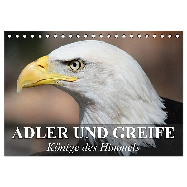 Adler und Greife - Könige des Himmels (Tischkalender 2024 DIN A5 quer), CALVENDO Monatskalender, Elisabeth Stanzer