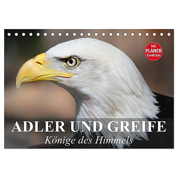 Adler und Greife. Könige des Himmels (Tischkalender 2024 DIN A5 quer), CALVENDO Monatskalender, Elisabeth Stanzer