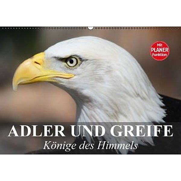 Adler und Greife. Könige des Himmels (Wandkalender 2016 DIN A2 quer), Elisabeth Stanzer