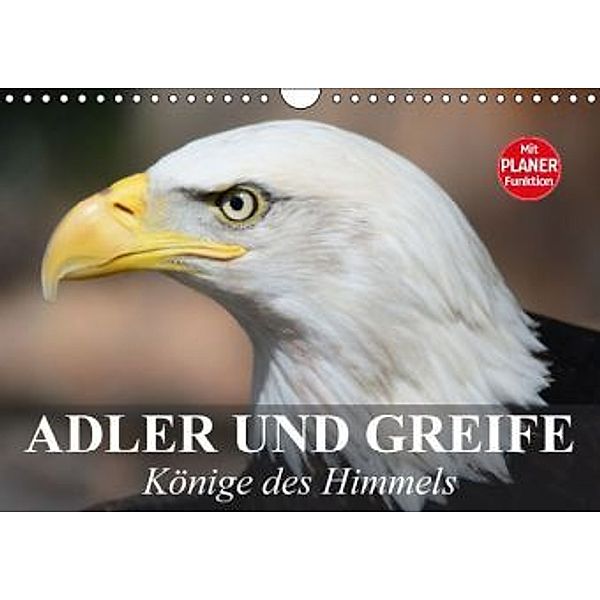 Adler und Greife. Könige des Himmels (Wandkalender 2016 DIN A4 quer), Elisabeth Stanzer