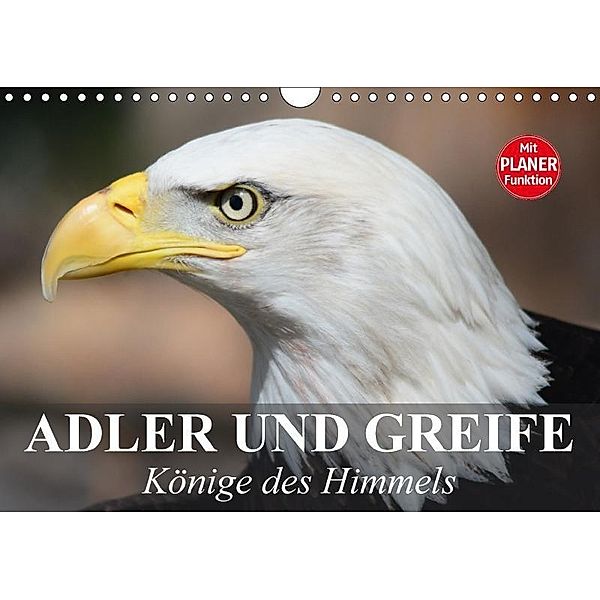 Adler und Greife. Könige des Himmels (Wandkalender 2017 DIN A4 quer), Elisabeth Stanzer