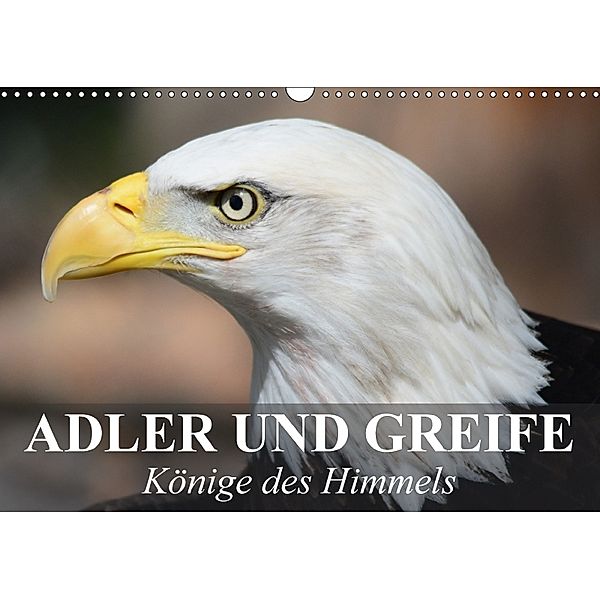 Adler und Greife - Könige des Himmels (Wandkalender 2018 DIN A3 quer), Elisabeth Stanzer