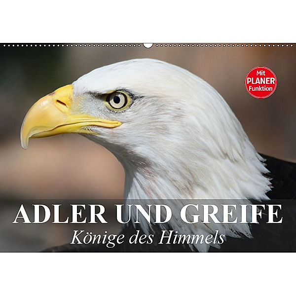 Adler und Greife. Könige des Himmels (Wandkalender 2019 DIN A2 quer), Elisabeth Stanzer