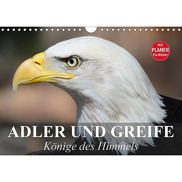 Adler und Greife. Könige des Himmels (Wandkalender 2021 DIN A4 quer), Elisabeth Stanzer