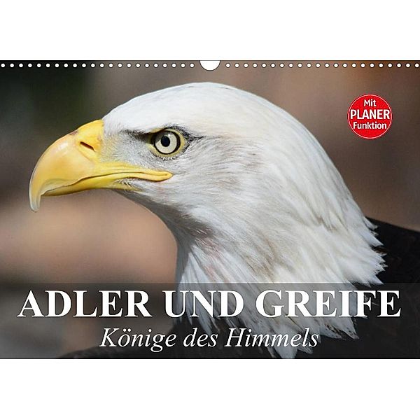 Adler und Greife. Könige des Himmels (Wandkalender 2023 DIN A3 quer), Elisabeth Stanzer