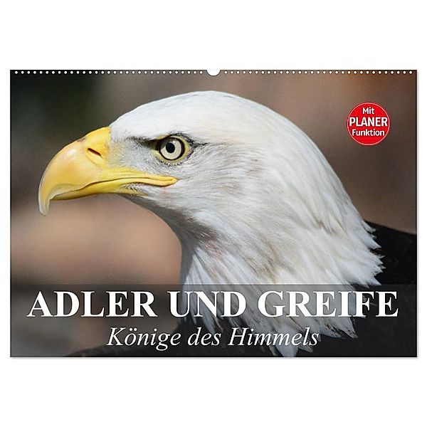 Adler und Greife. Könige des Himmels (Wandkalender 2024 DIN A2 quer), CALVENDO Monatskalender, Elisabeth Stanzer