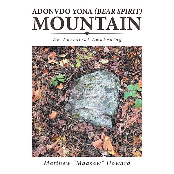 Adonvdo Yona (Bear Spirit) Mountain, Matthew Howard
