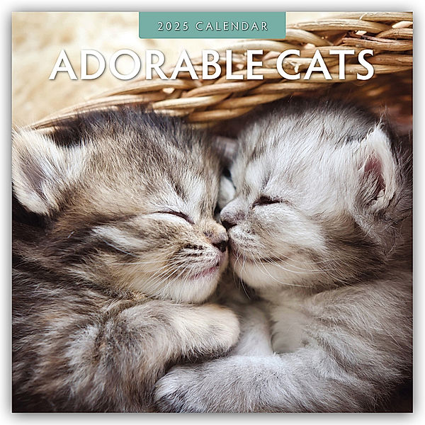 Adorable Cats - Liebenswerte Katzen 2025 - 16-Monatskalender, Red Robin Publishing Ltd