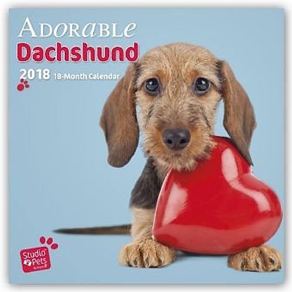 Adorable Dachshunds 2018, Myrna Huijing