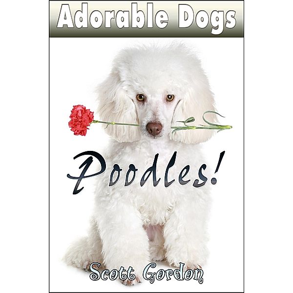 Adorable Dogs: Poodles / Adorable Dogs, Scott Gordon