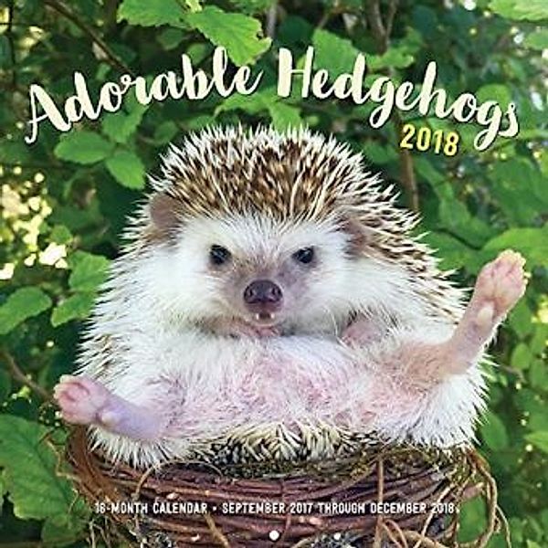 Adorable Hedgehogs 2018, Carolyn Parker