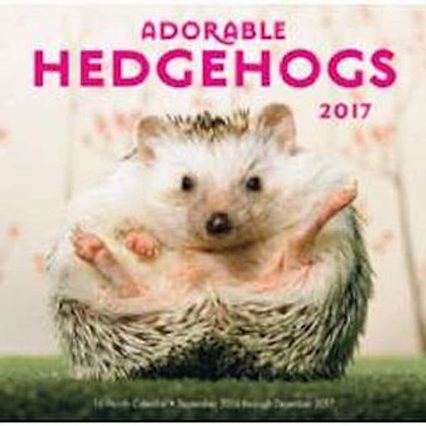 Adorable Hedgehogs Mini 2017, Editors of Rock Point