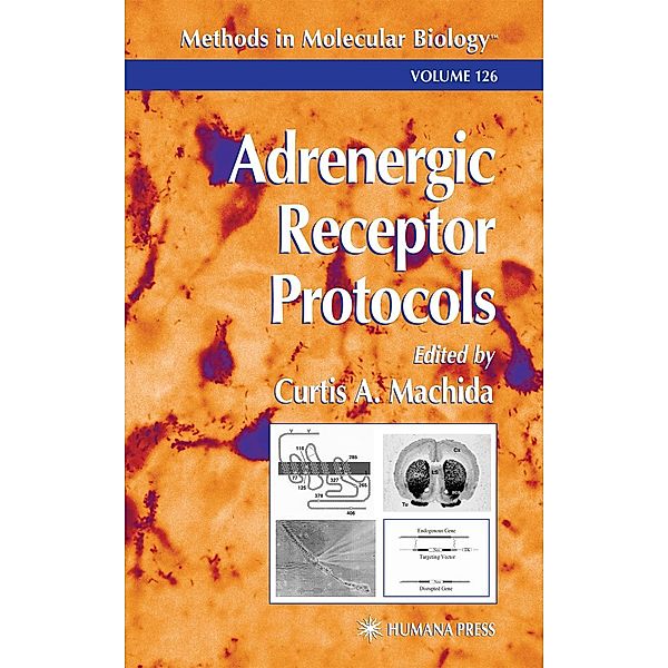 Adrenergic Receptor Protocols / Methods in Molecular Biology Bd.126