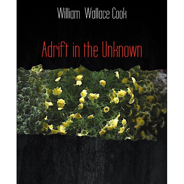 Adrift in the Unknown, William Wallace Cook