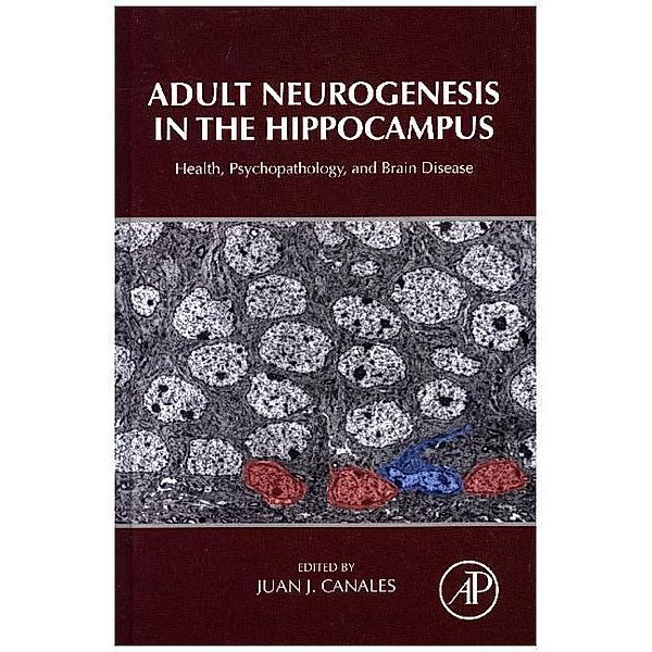 Adult Neurogenesis in the Hippocampus