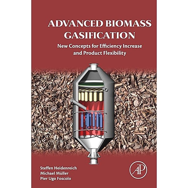 Advanced Biomass Gasification, Steffen Heidenreich, Michael Müller, Pier Ugo Foscolo