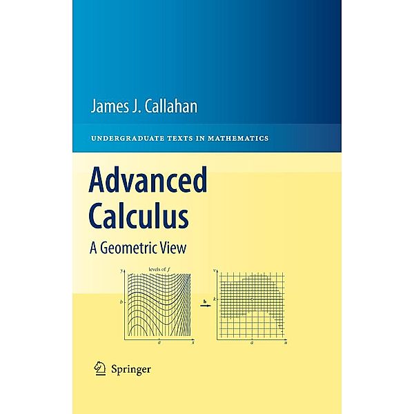 Advanced Calculus / Undergraduate Texts in Mathematics, James J. Callahan