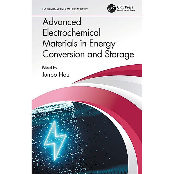 Advanced Electrochemical Materials in Energy Conversion and Storage