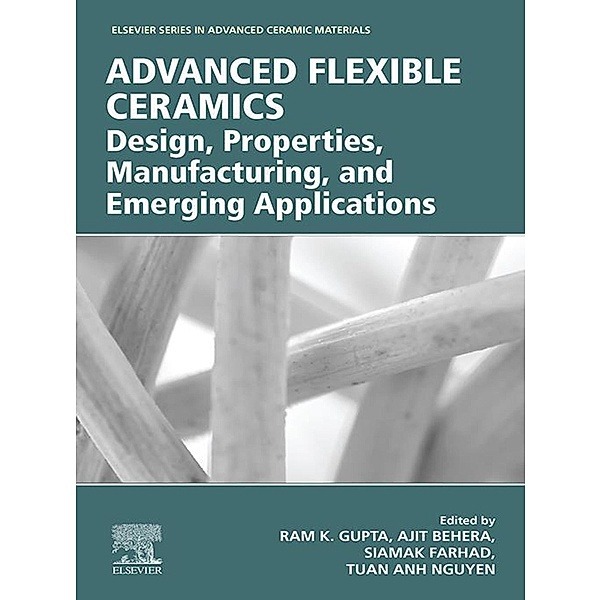 Advanced Flexible Ceramics