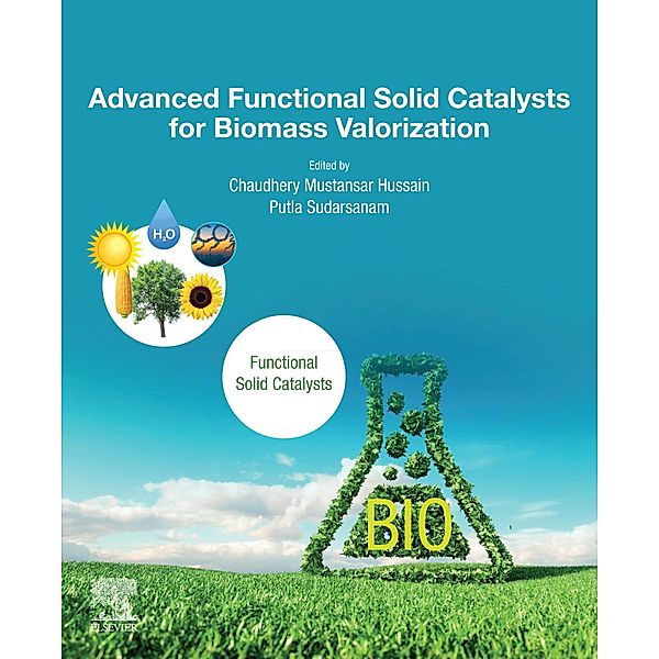 Advanced Functional Solid Catalysts for Biomass Valorization