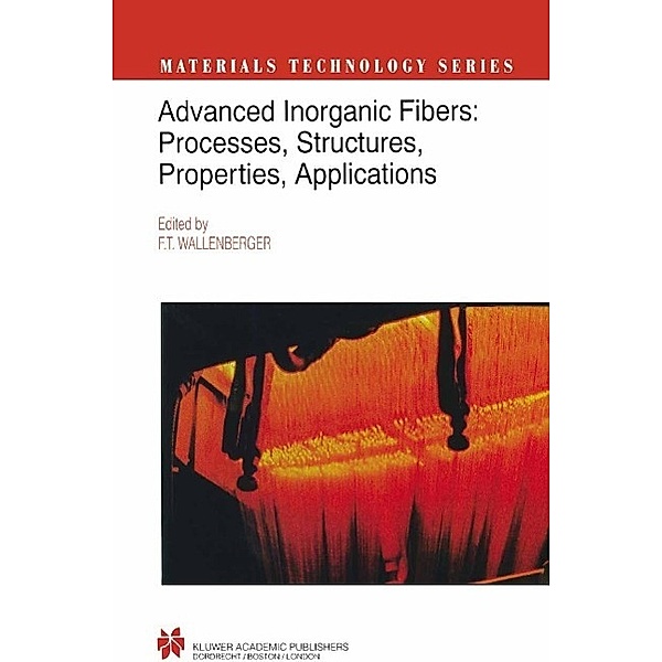Advanced Inorganic Fibers / Materials Technology Series Bd.6