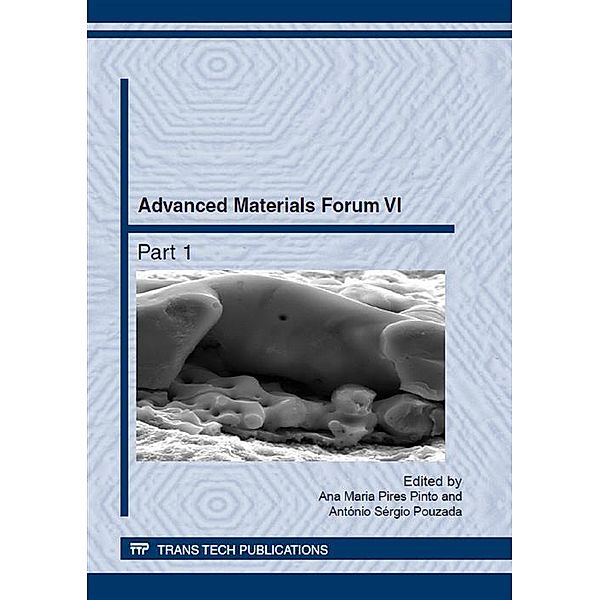 Advanced Materials Forum VI