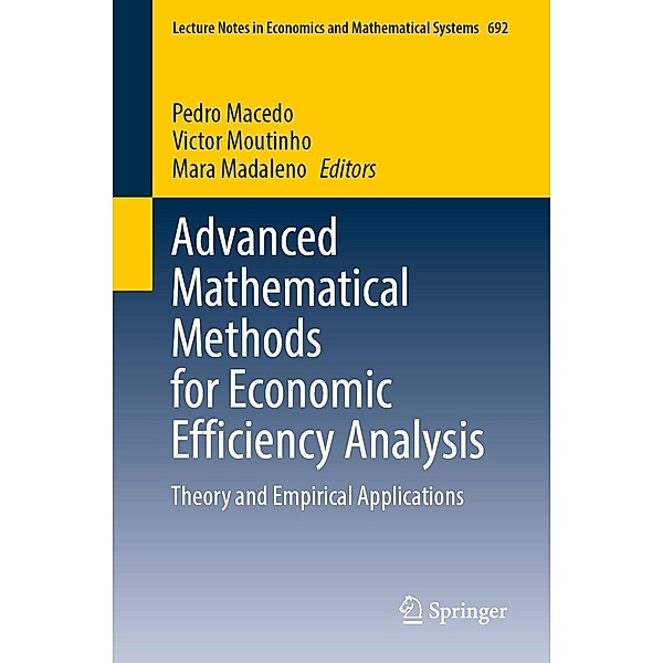 Advanced Mathematical Methods for Economic Efficiency Analysis / Lecture Notes in Economics and Mathematical Systems Bd.692