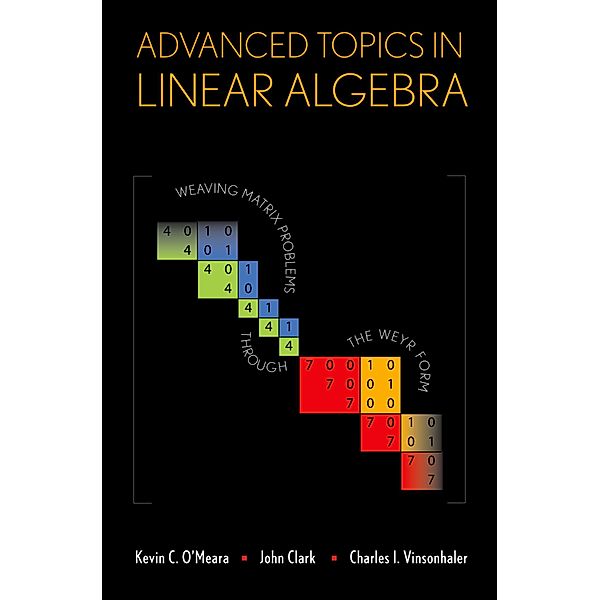 Advanced Topics in Linear Algebra, Kevin O'Meara, John Clark, Charles Vinsonhaler