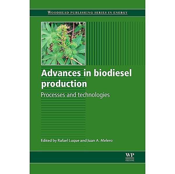 Advances in Biodiesel Production