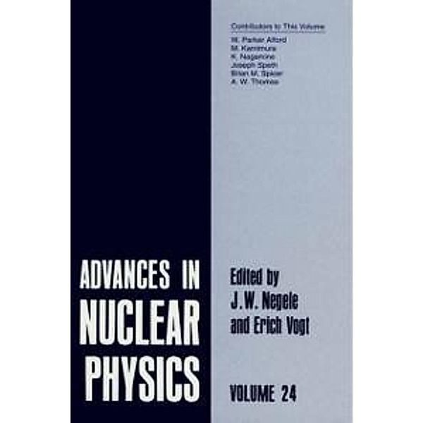 Advances in Nuclear Physics / Advances in Nuclear Physics Bd.24