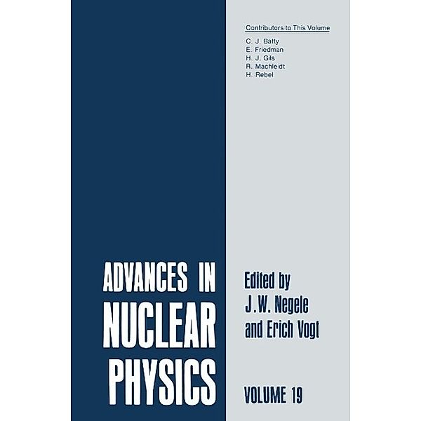 Advances in Nuclear Physics / Advances in Nuclear Physics Bd.19
