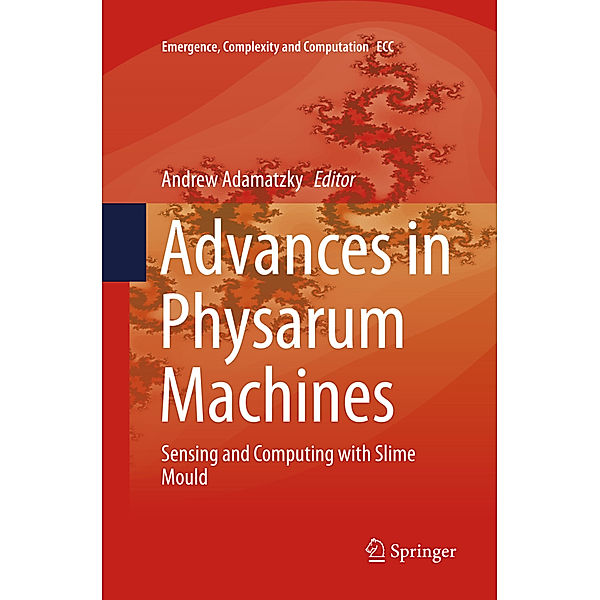 Advances in Physarum Machines